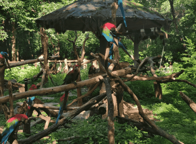 十块吮指原味鸡,确信